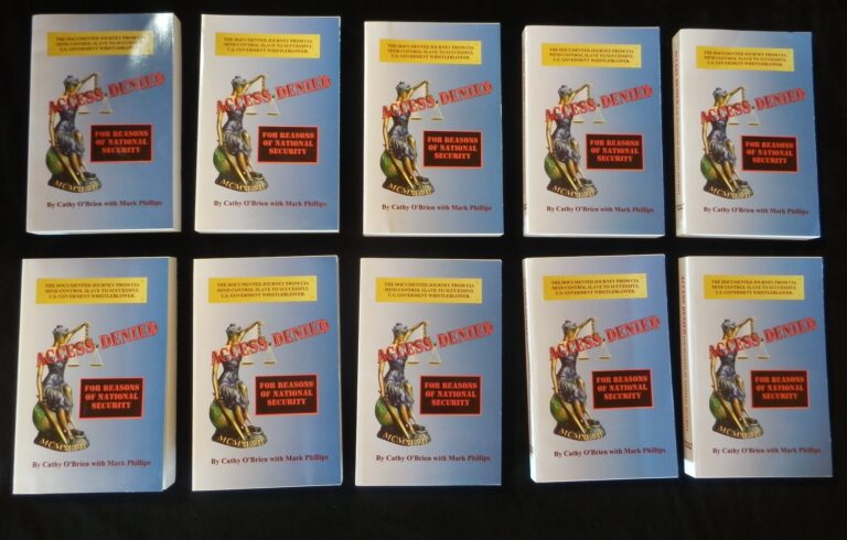 access denied for reasons of national security free pdf download